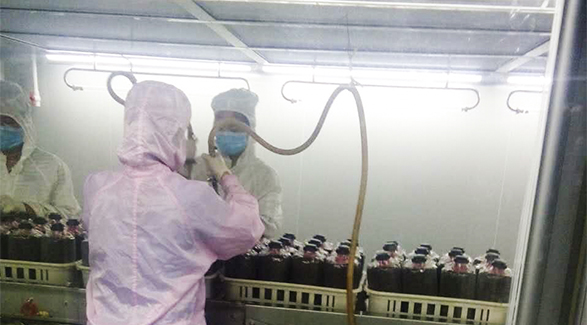 可移動式百級接種室的使用和維護
